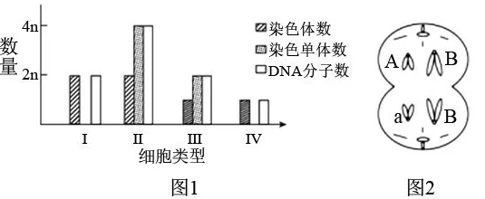 igao最新研究发现特殊蛋白质或可逆转衰老