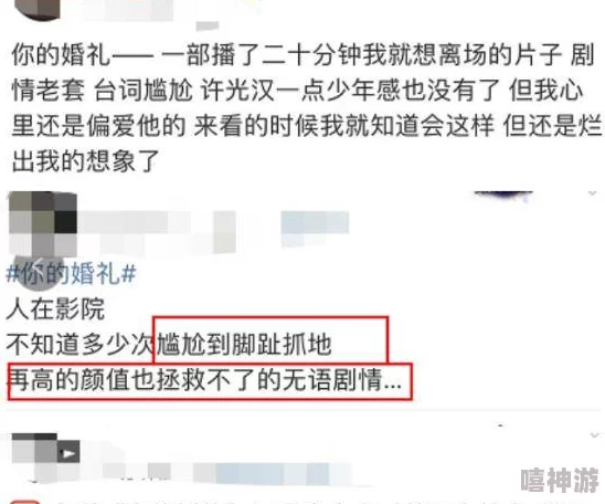 私人订制口碑两极分化，部分观众认为剧情略显空洞，缺乏深度