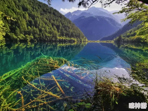 畅游九寨沟，成都出发的梦幻旅行团