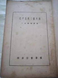 缅北前四后八是什么意思？解析这一术语的背景及其在当地社会中的影响与意义