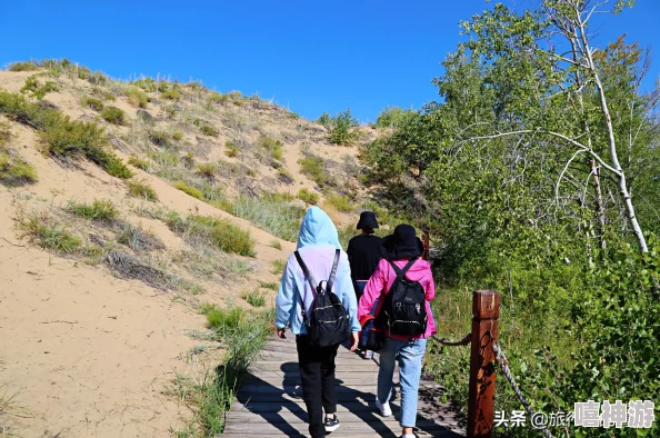 女人千层莲花激活后是什么样的？从心理学与生理学角度分析女性自我认知与魅力提升的关系