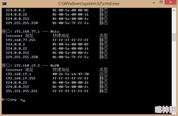 深入解析：代号既定冒险中本命卡的作用与功效详解指南