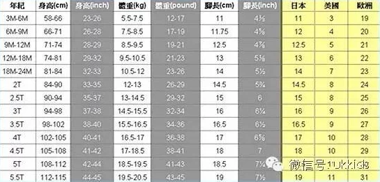 欧洲尺码日本尺码免费现已支持更多品牌数据对比更精准